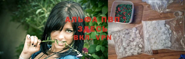 spice Новозыбков