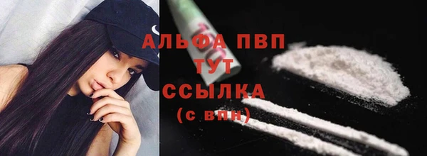 spice Новозыбков