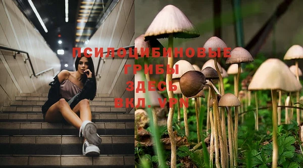 spice Новозыбков