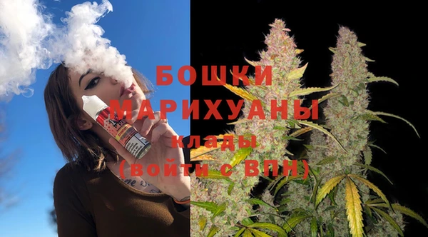 spice Новозыбков