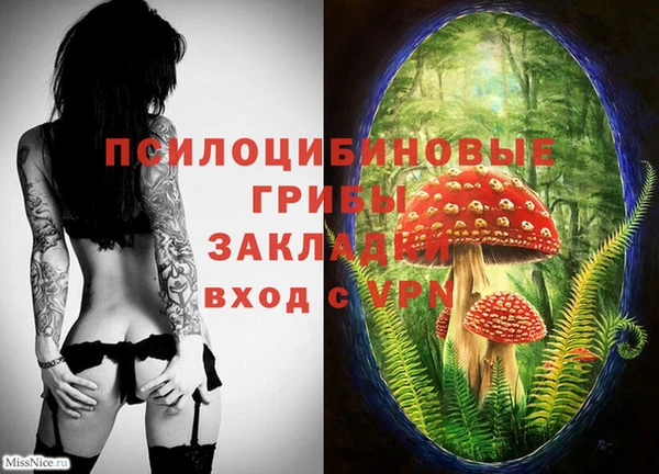 PSILOCYBIN Балабаново