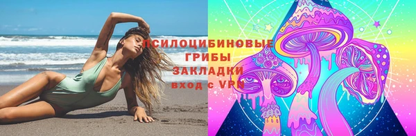 spice Новозыбков