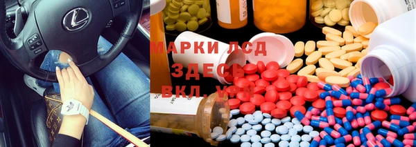 spice Новозыбков