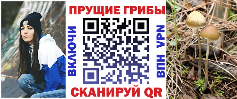 omg рабочий сайт Игра shop официальный сайт Псилоцибиновые грибы мицелий
